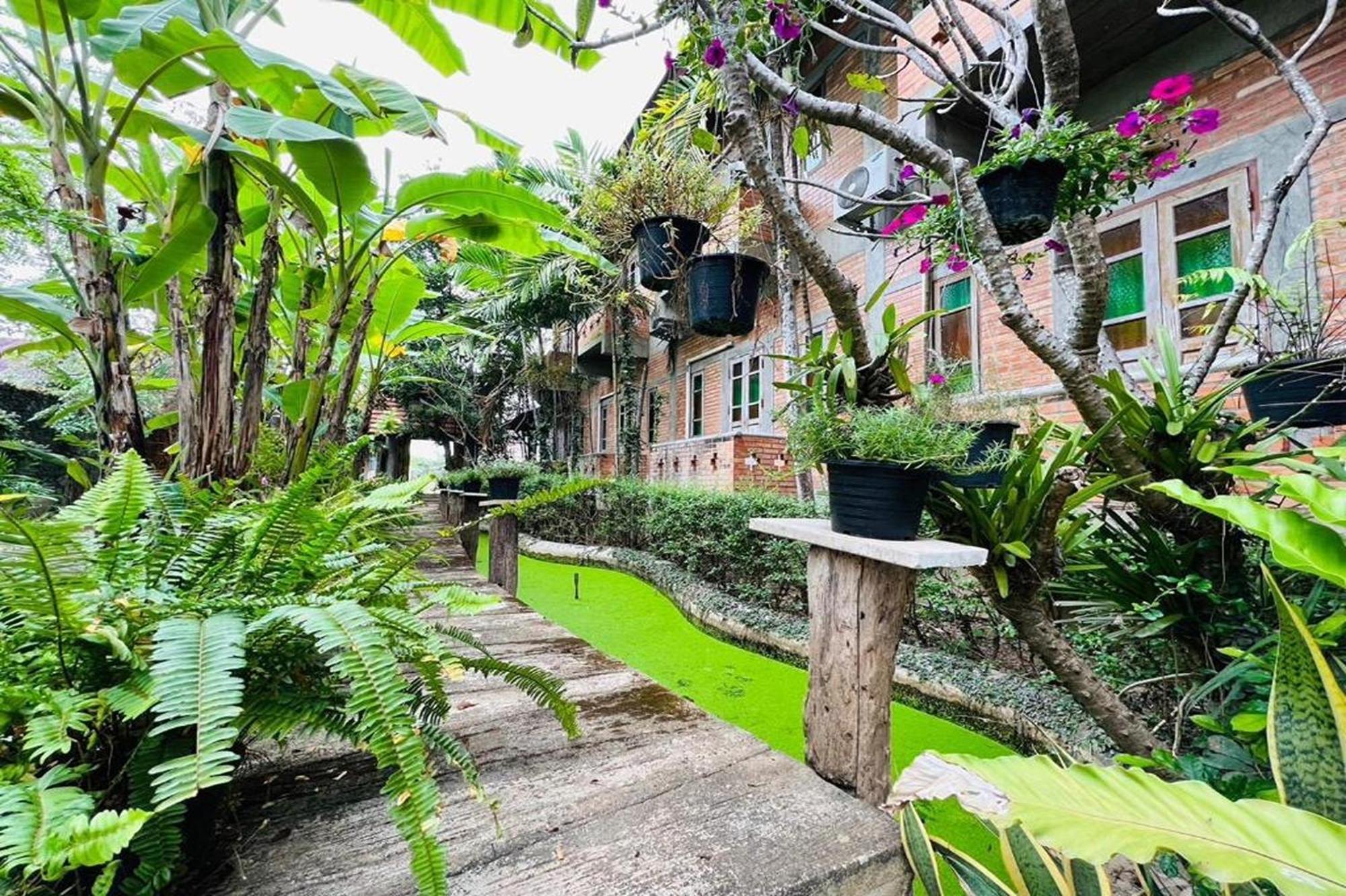 Hotel Amethyst 3*